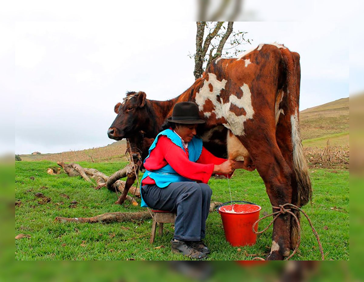 Mujer rural, desigualdad y olvido – El Cuarto Mosquetero