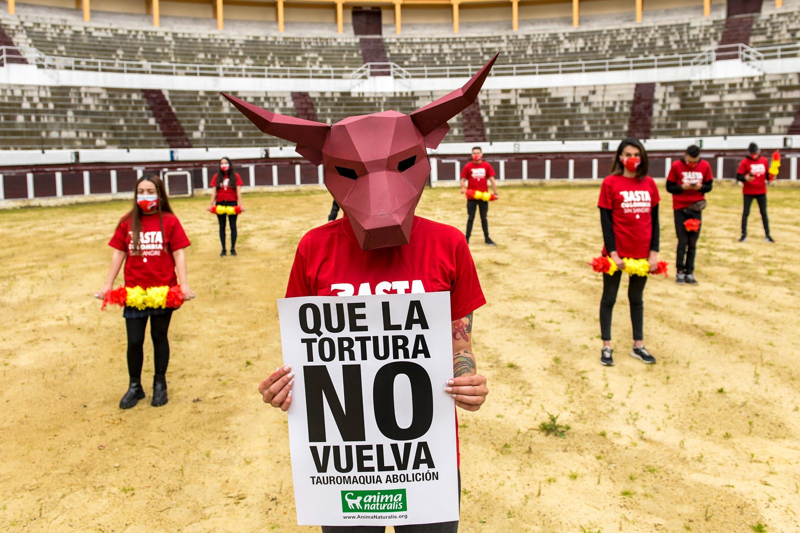 ABC de la prohibición de las corridas de toros en Colombia - El Cuarto ...